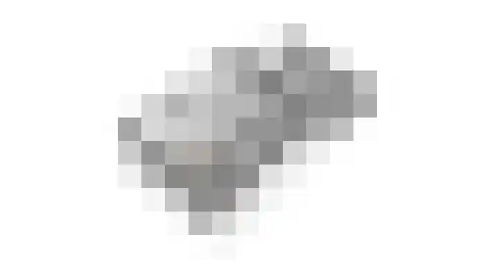 Lentemorgen 102 Zevenaar thumbnail 66