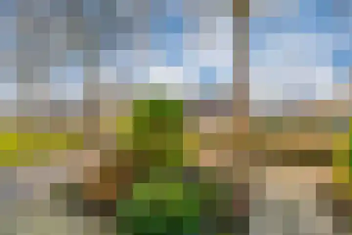 Lentemorgen 102 Zevenaar thumbnail 9