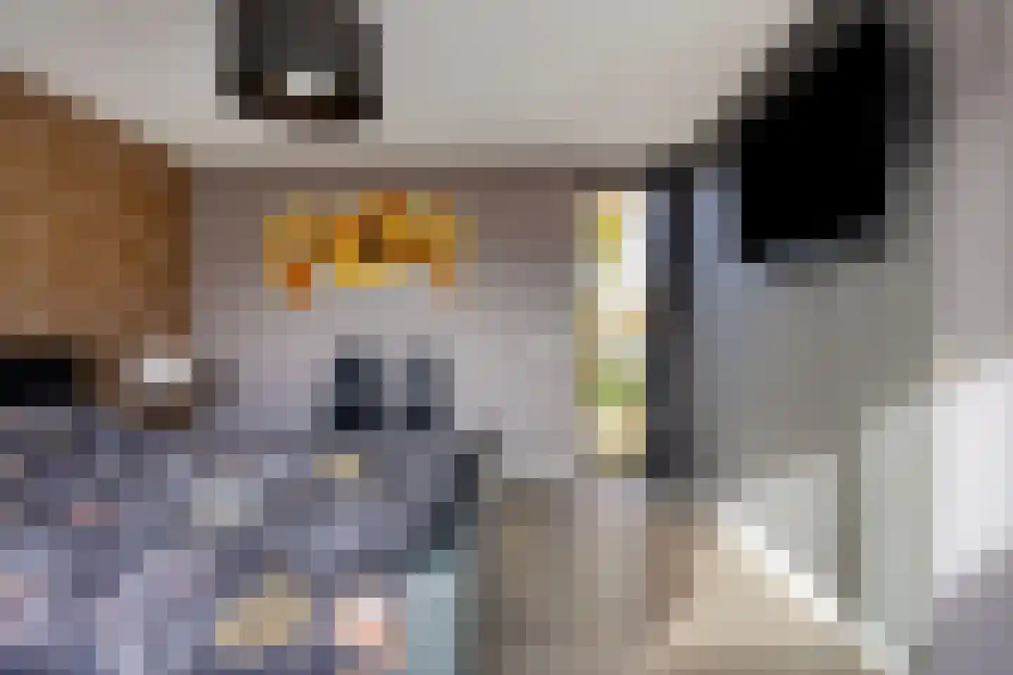 Lentemorgen 42 Uden thumbnail 30