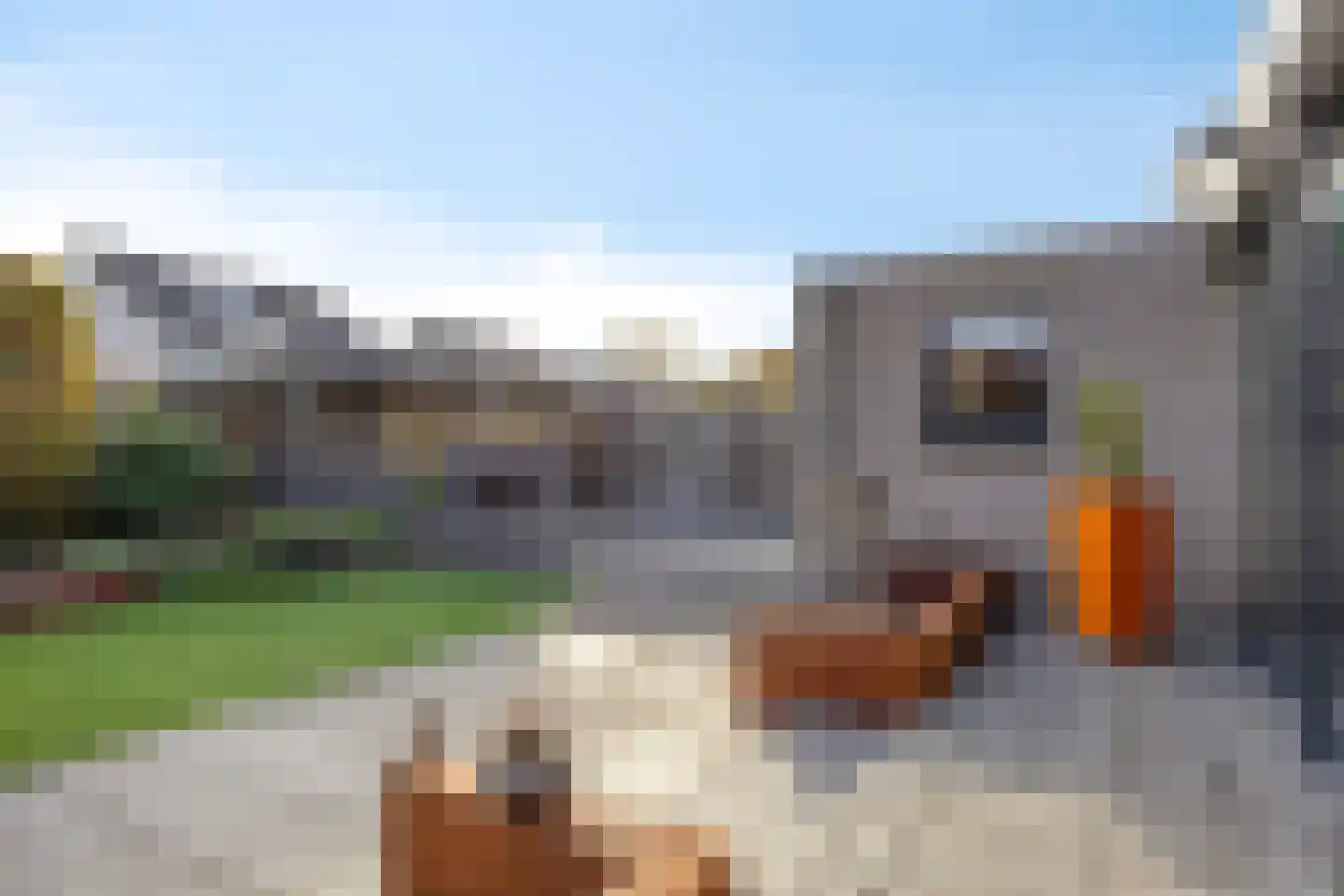 Lentemorgen 42 Uden thumbnail 51