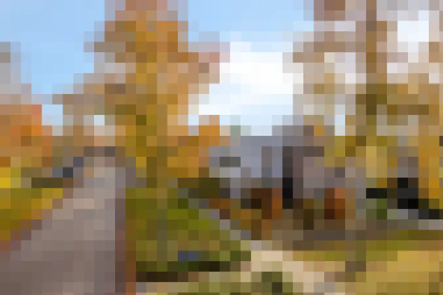 Lentemorgen 42 Uden thumbnail 57