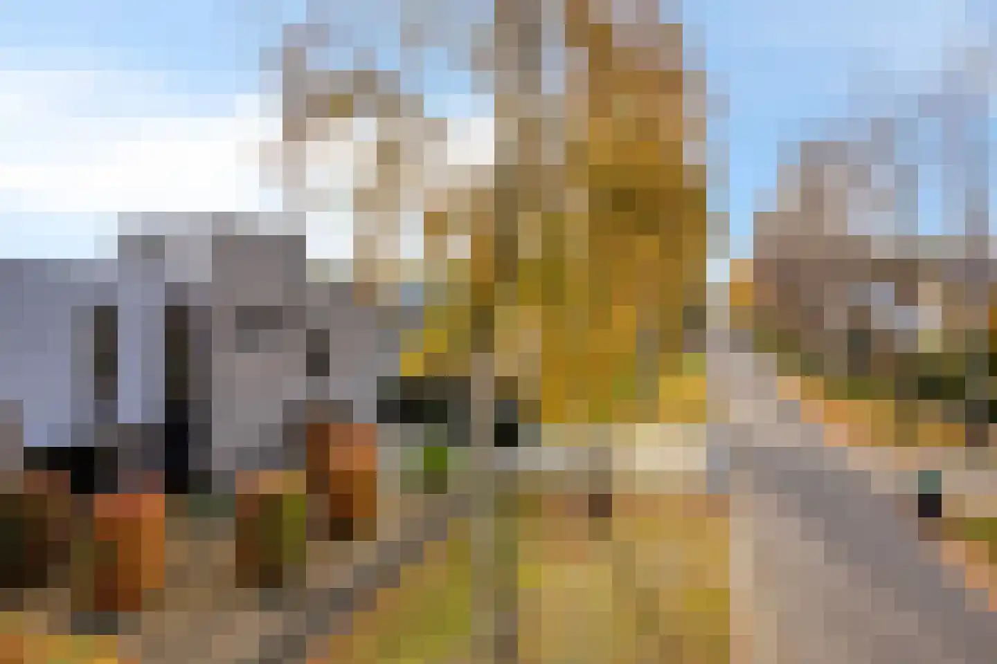 Lentemorgen 42 Uden thumbnail 58