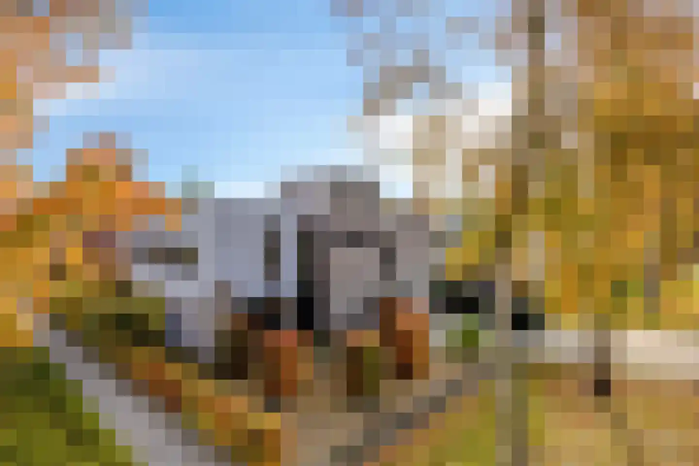 Lentemorgen 42 Uden thumbnail 59