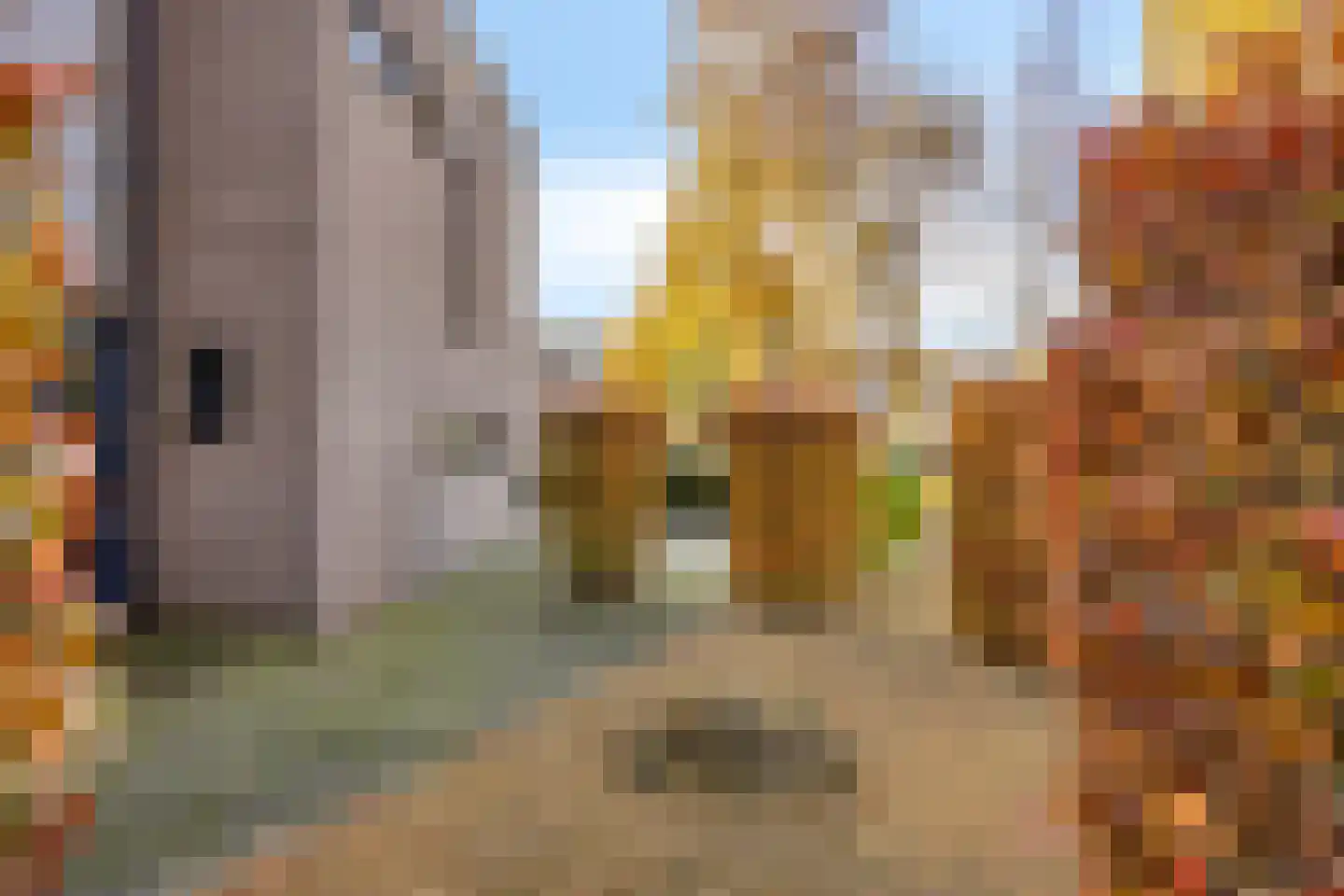 Lentemorgen 42 Uden thumbnail 9