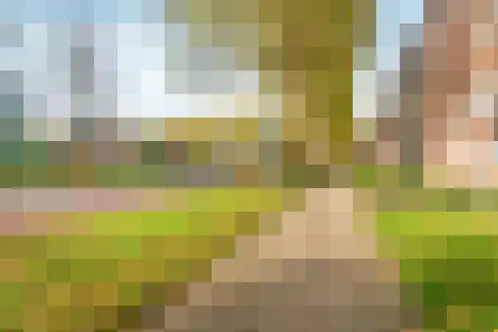 Lentemorgen 46 Zevenaar thumbnail 42