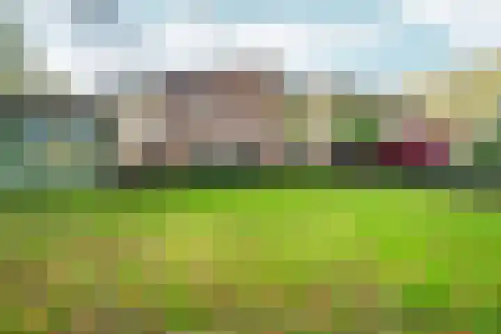 Lentemorgen 46 Zevenaar thumbnail 44