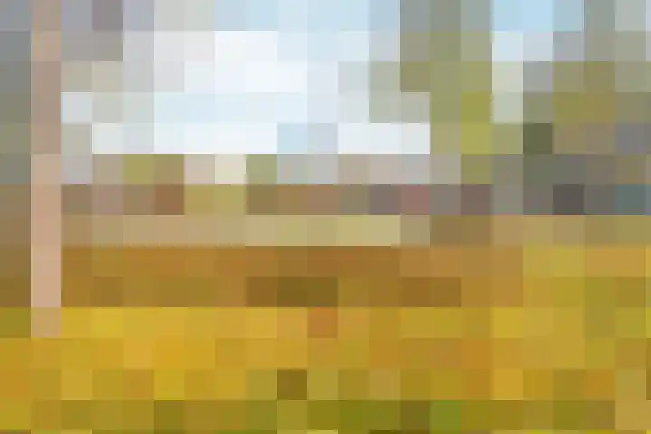 Lentemorgen 46 Zevenaar thumbnail 47