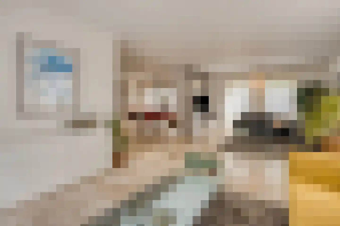 Lentemorgen 47 Uden thumbnail 13