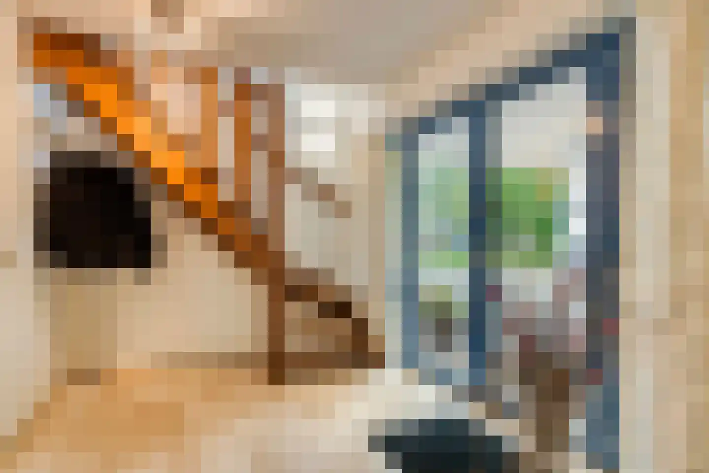 Lentemorgen 47 Uden thumbnail 17