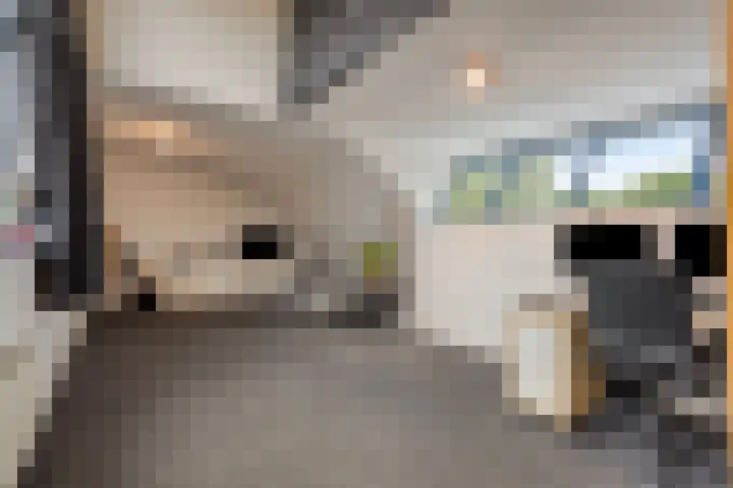 Lentemorgen 47 Uden thumbnail 28