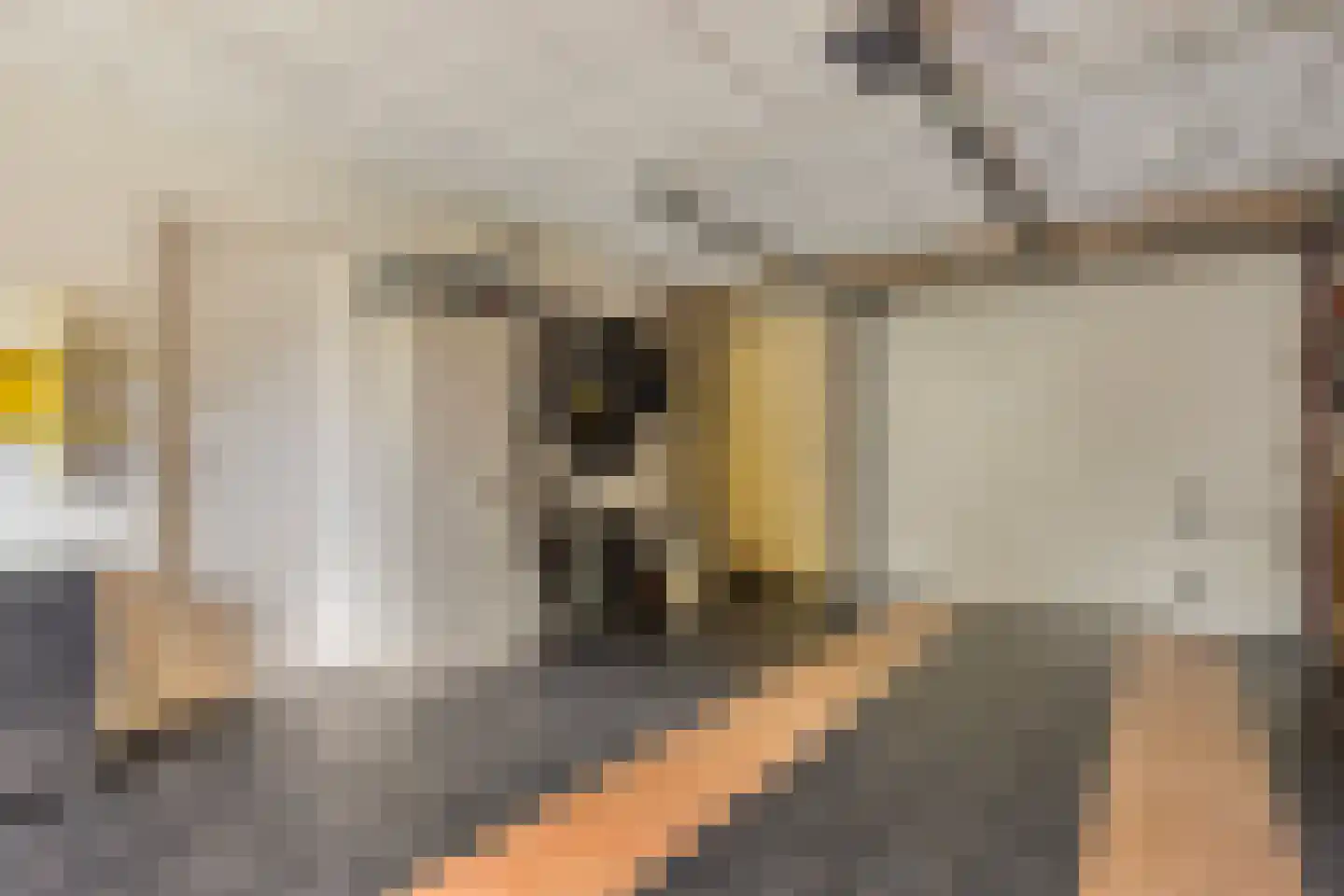 Lentemorgen 47 Uden thumbnail 32