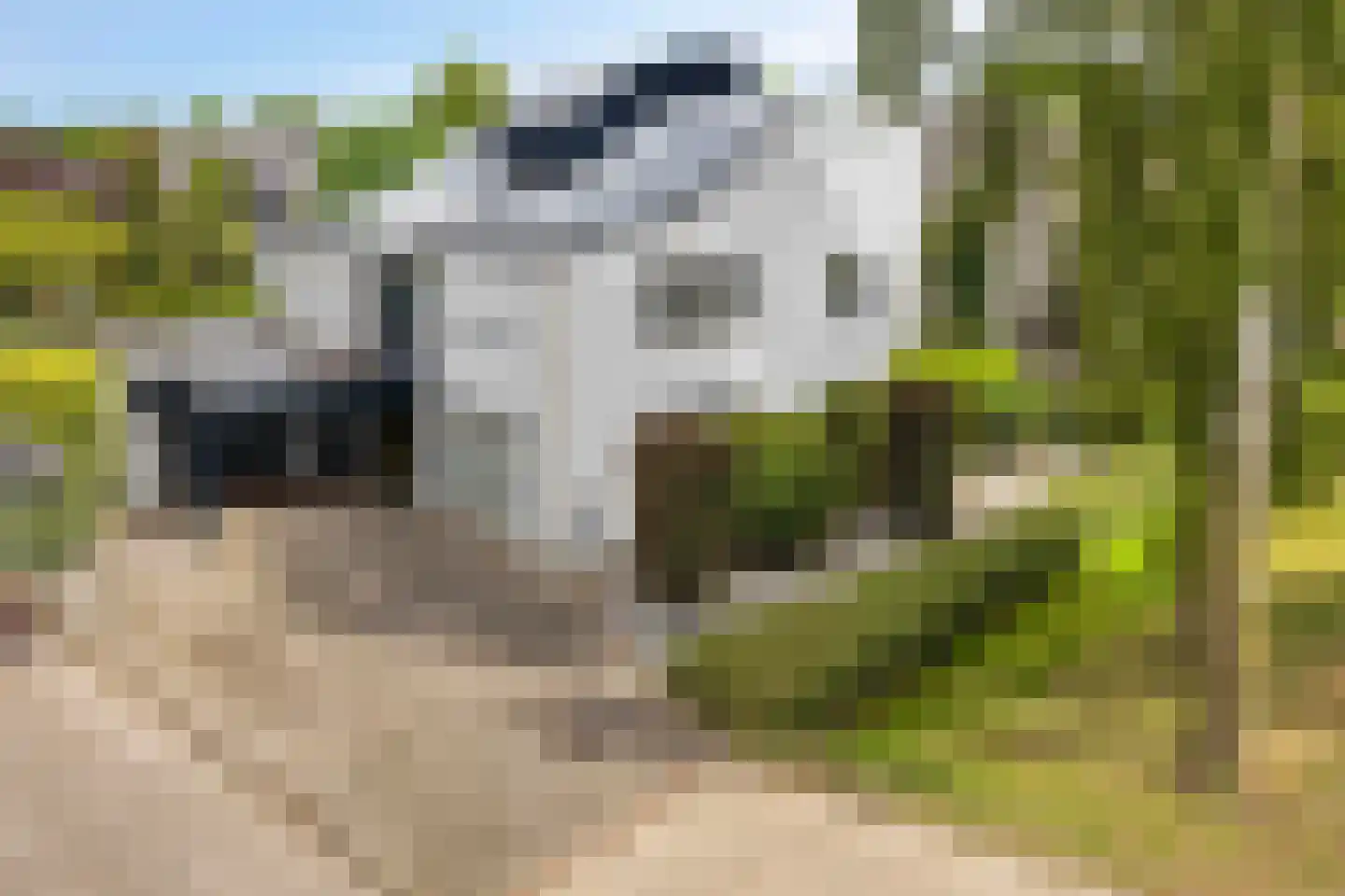 Lentemorgen 47 Uden thumbnail 36