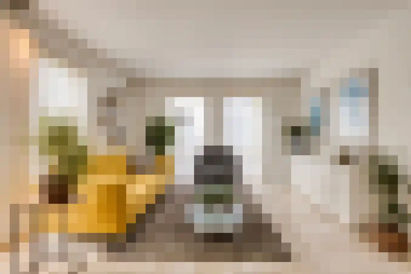 Lentemorgen 47 Uden thumbnail 4