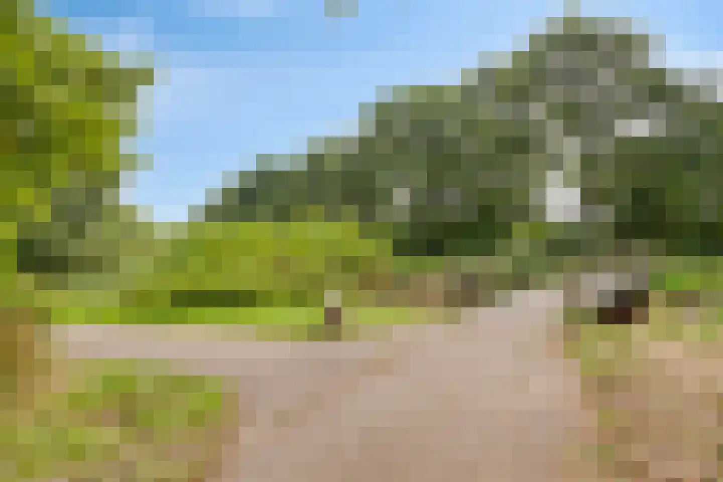 Lentemorgen 47 Uden thumbnail 45