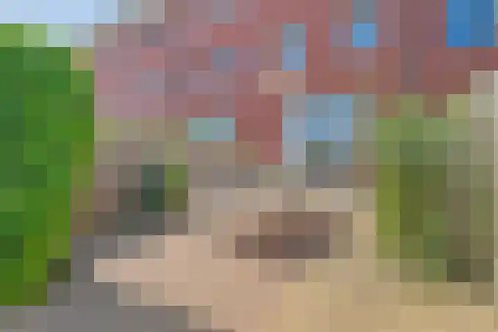 Lentepark 86 Nieuw-Vennep thumbnail 26