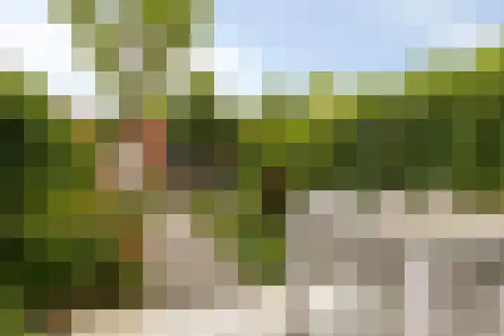 Lentepark 98 Nieuw-Vennep thumbnail 38