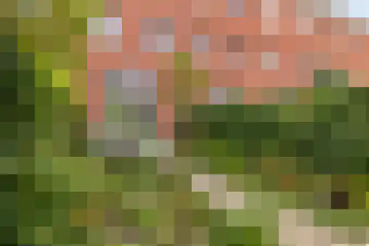 Lentepark 98 Nieuw-Vennep thumbnail 40