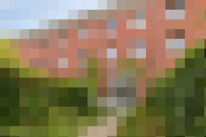 Lentepark 98 Nieuw-Vennep thumbnail 41