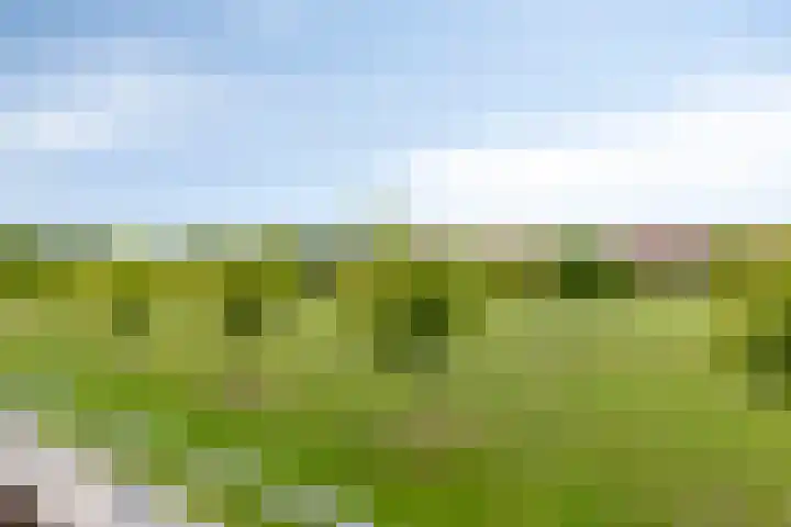 Lentepark 98 Nieuw-Vennep thumbnail 44