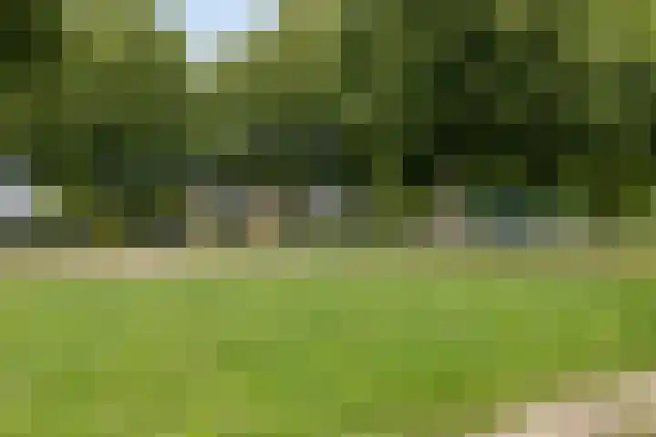 Lentepark 98 Nieuw-Vennep thumbnail 46
