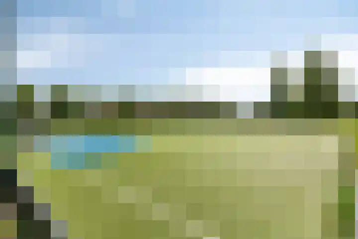 Lentepark 98 Nieuw-Vennep thumbnail 47