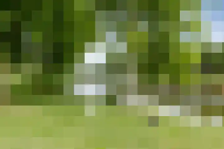 Lentepark 98 Nieuw-Vennep thumbnail 48