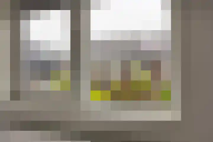 Lenteregen 20 Arnhem thumbnail 18