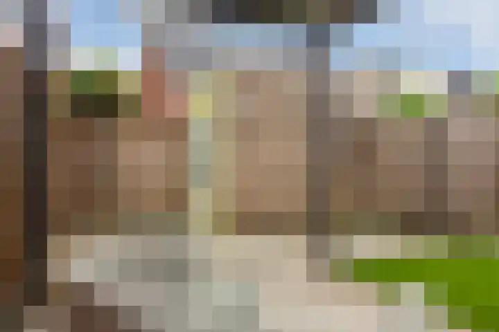 Lenteregen 20 Arnhem thumbnail 30