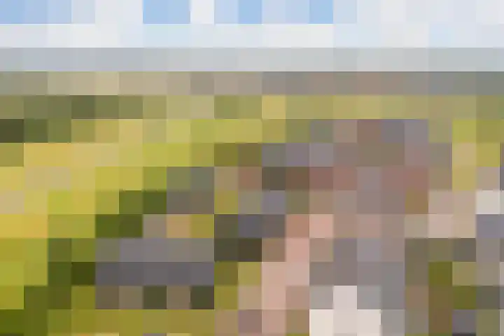 Lenteregen 20 Arnhem thumbnail 37