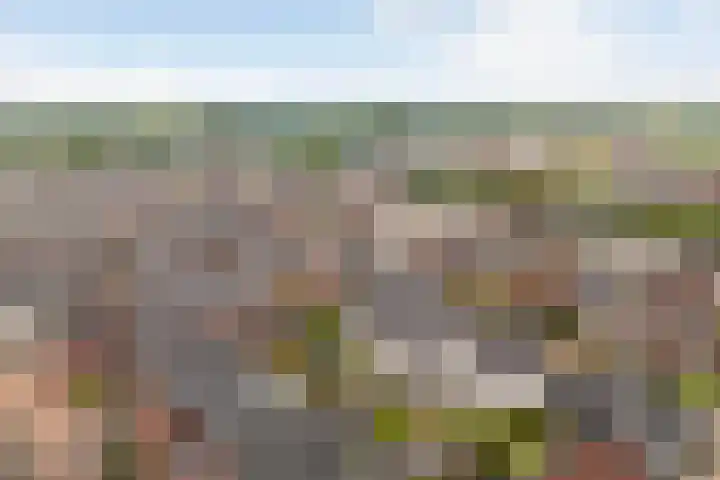 Lenteregen 20 Arnhem thumbnail 38
