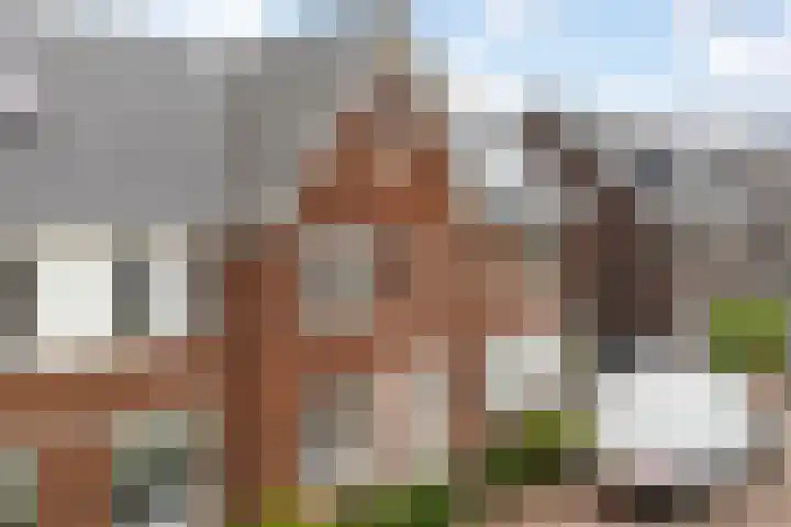 Lenteregen 20 Arnhem thumbnail 40