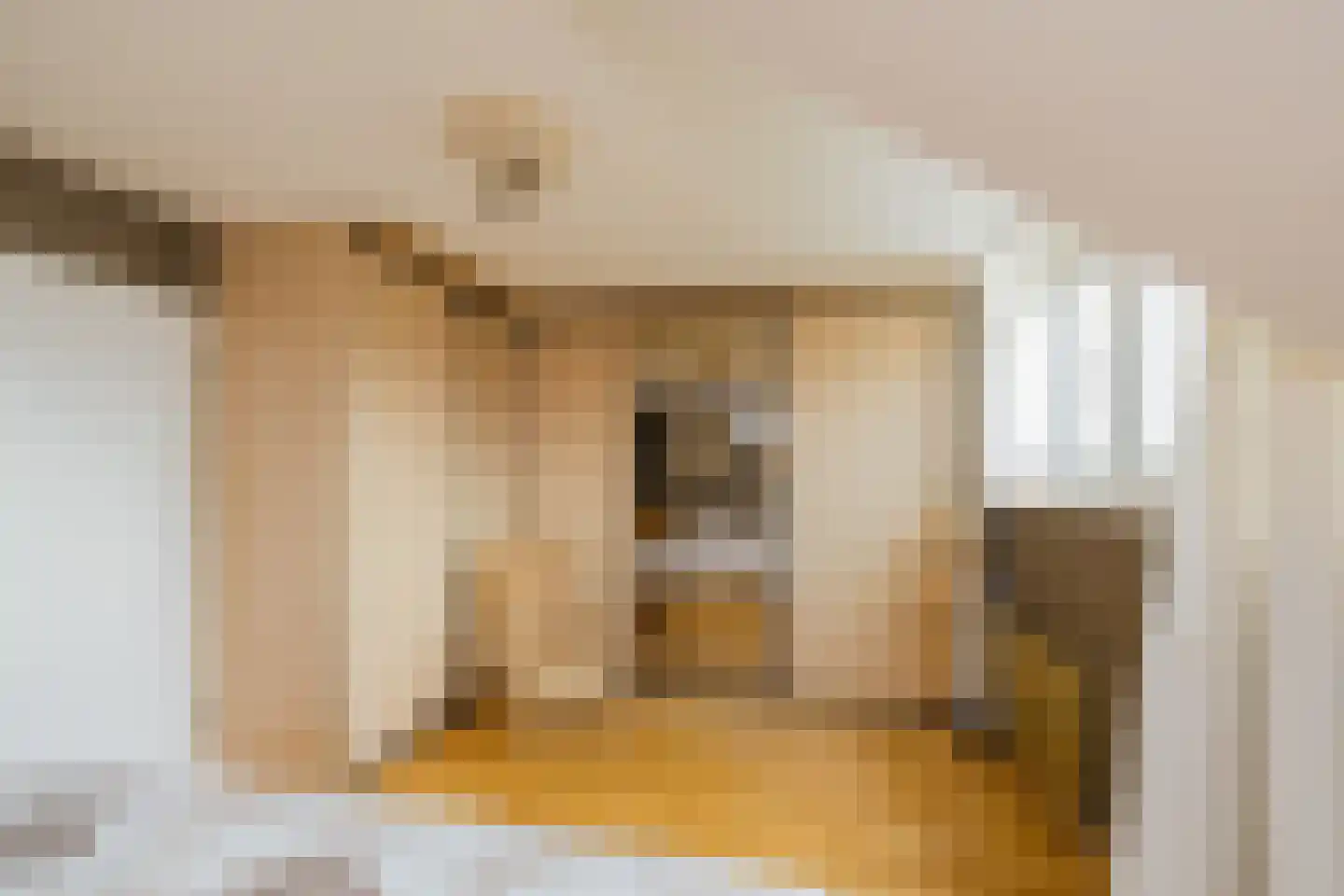 Lentestraat 2 Alphen aan den Rijn thumbnail 22
