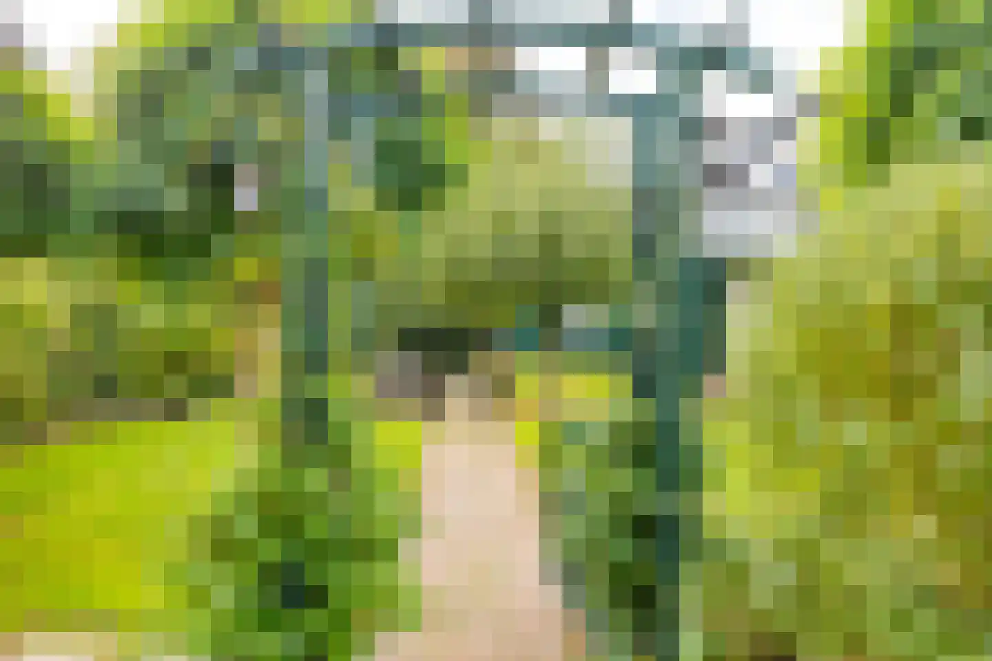 Lentestraat 2 Alphen aan den Rijn thumbnail 34