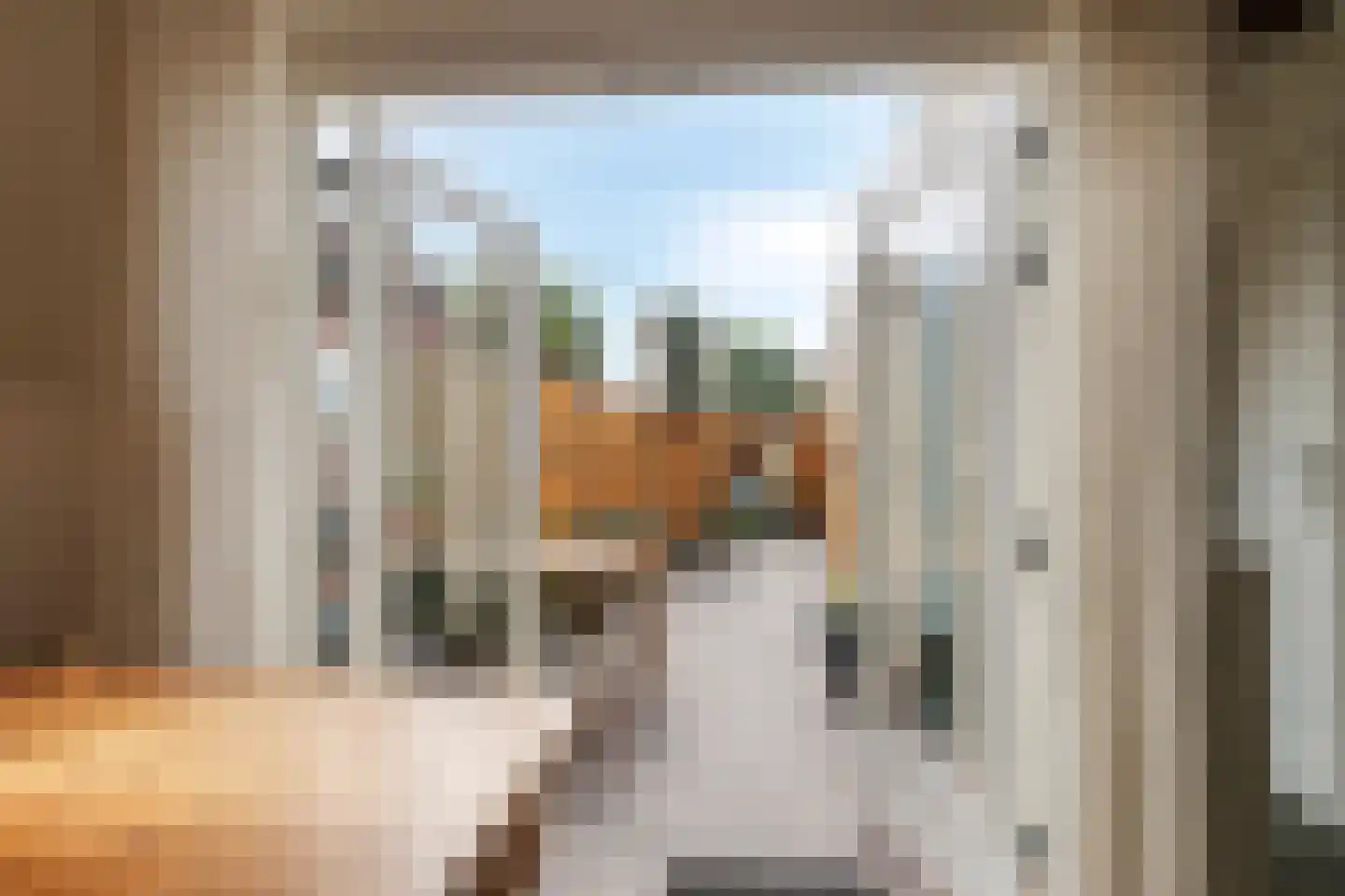 Lentestraat 20 Scherpenisse thumbnail 11