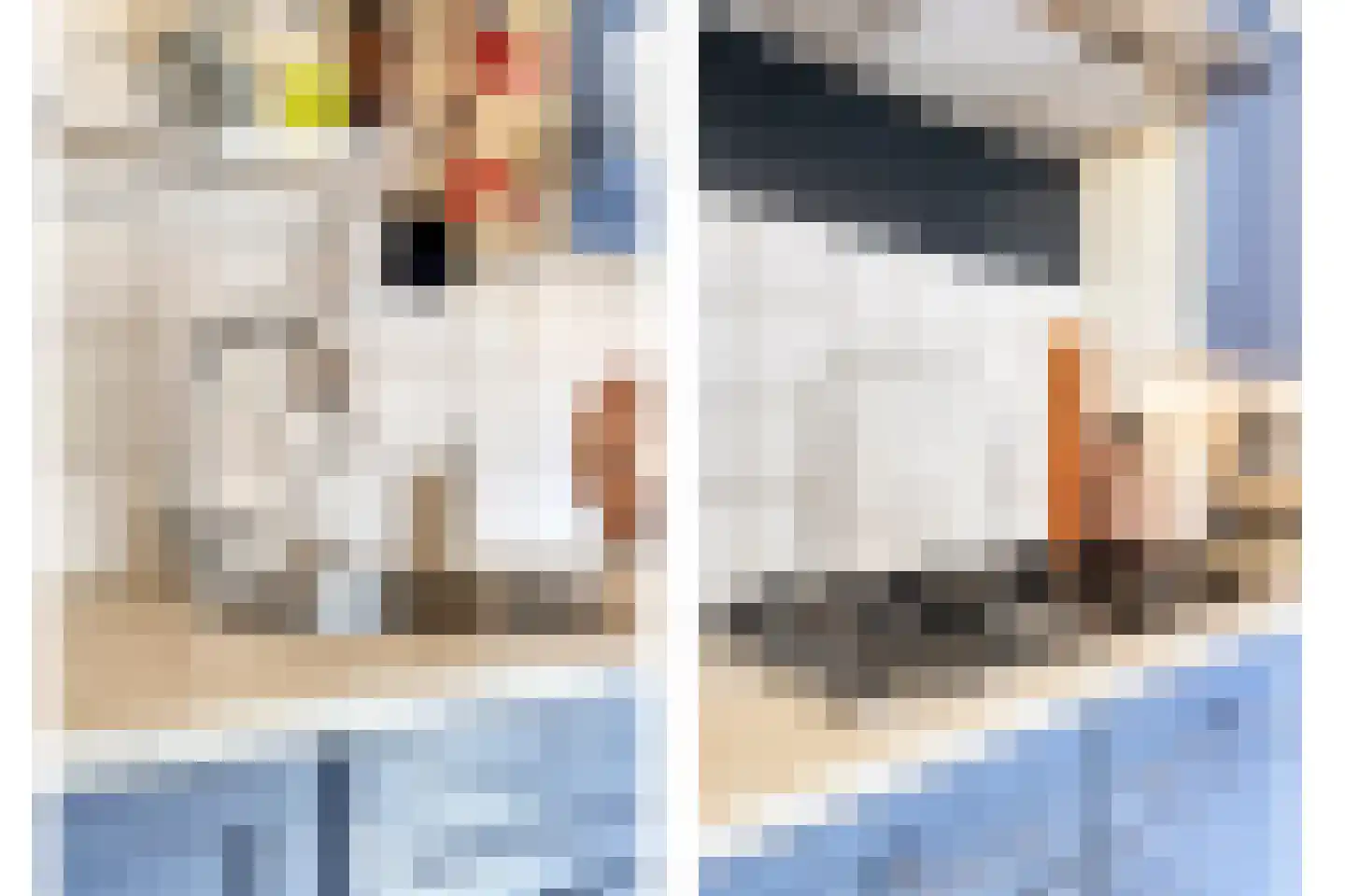 Lentestraat 20 Scherpenisse thumbnail 15