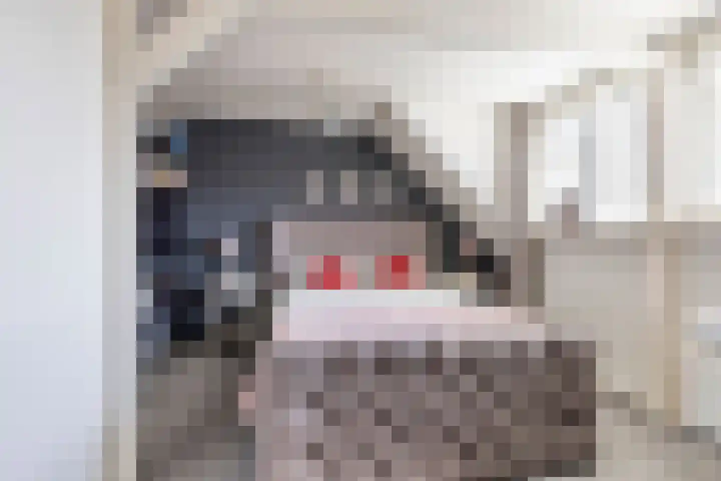 Lentestraat 20 Scherpenisse thumbnail 28