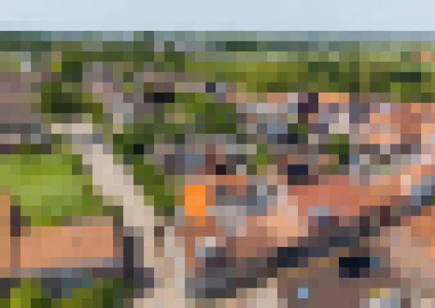 Lentestraat 20 Scherpenisse thumbnail 37