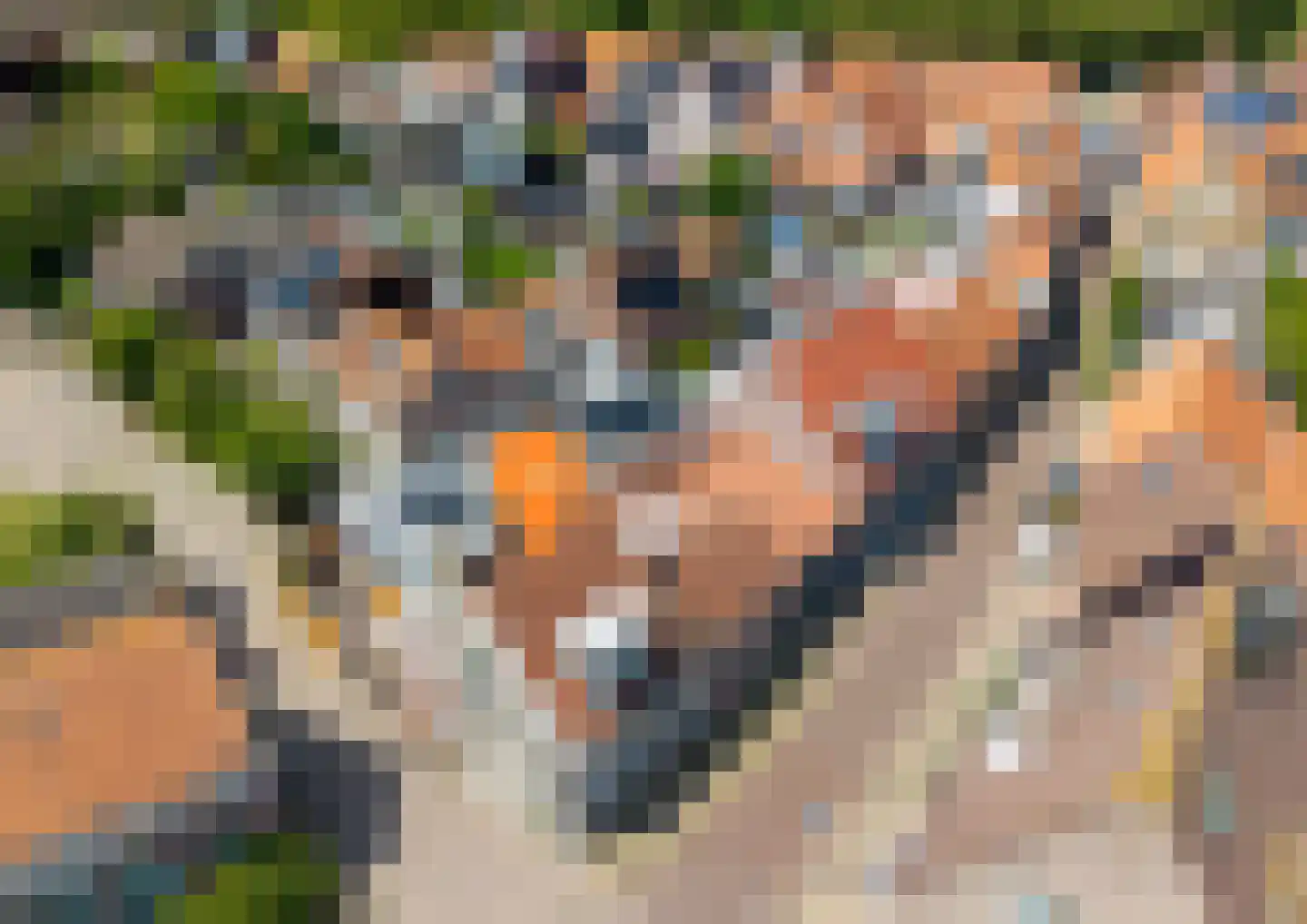 Lentestraat 20 Scherpenisse thumbnail 38