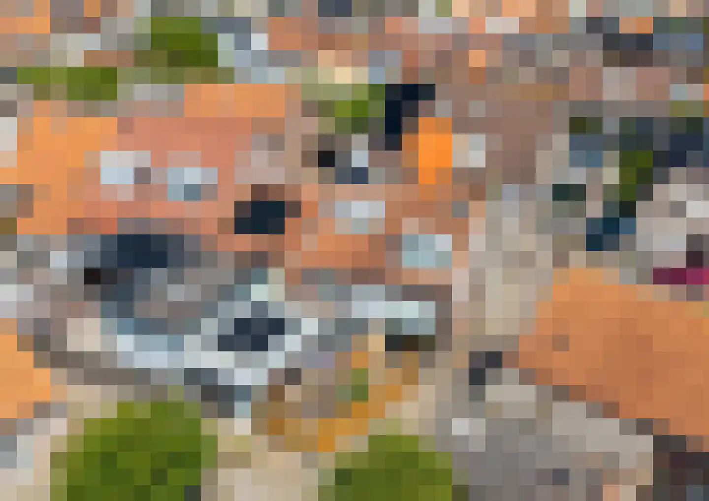 Lentestraat 20 Scherpenisse thumbnail 39