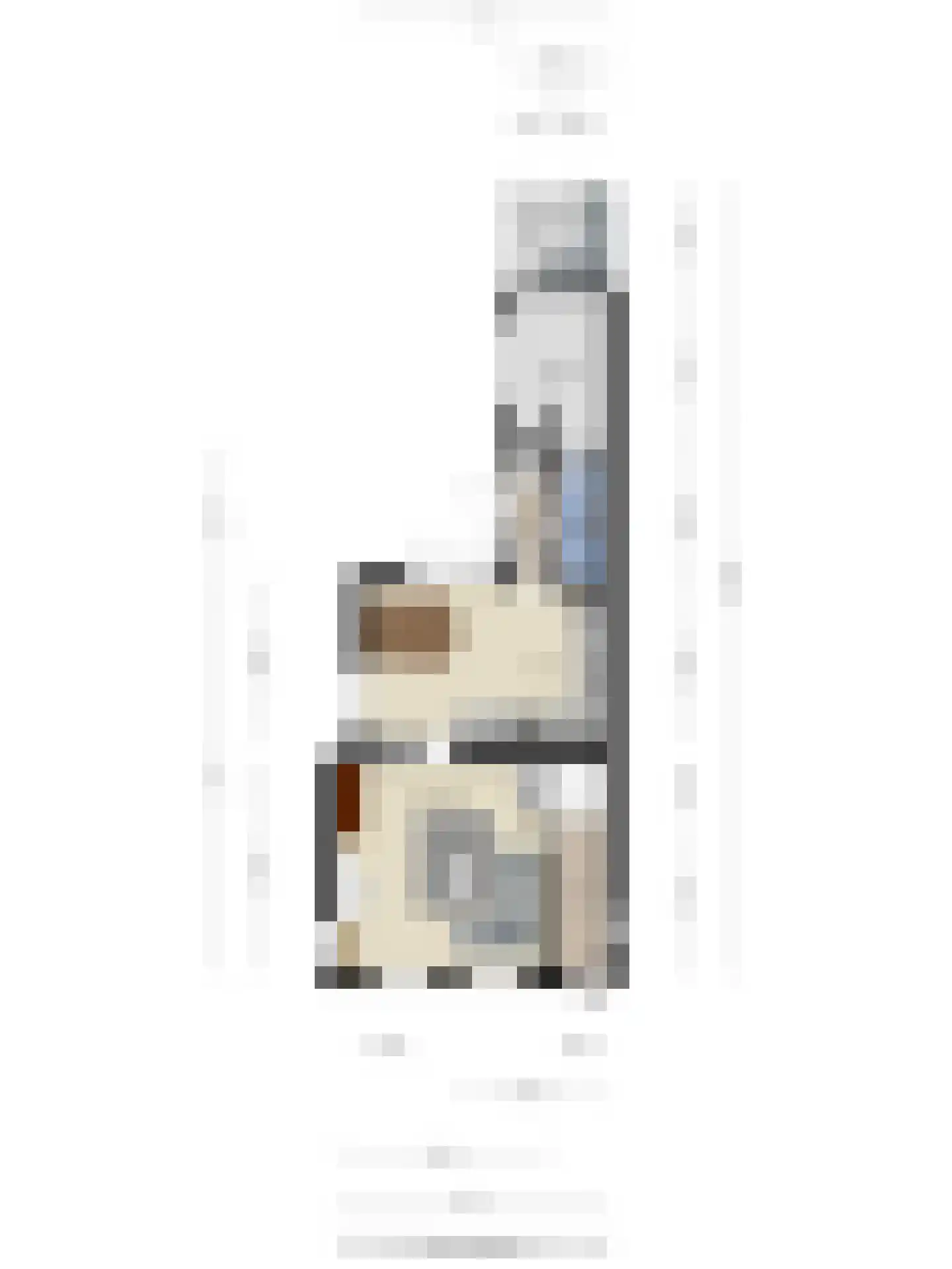Lentestraat 20 Scherpenisse thumbnail 44