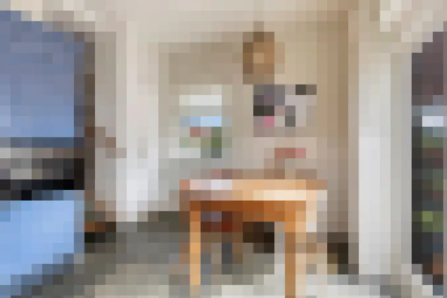 Lentestraat 20 Scherpenisse thumbnail 9