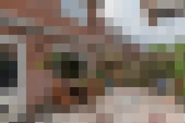 Lentestraat 21 Amsterdam thumbnail 24