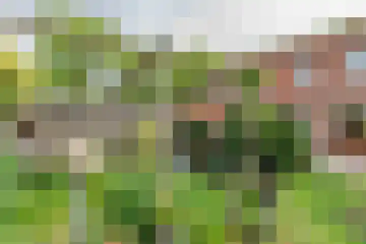Lentestraat 21 Amsterdam thumbnail 26