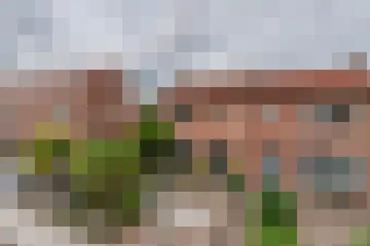 Lentestraat 21 Amsterdam thumbnail 31