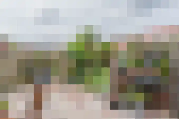 Lentestraat 21 Amsterdam thumbnail 4