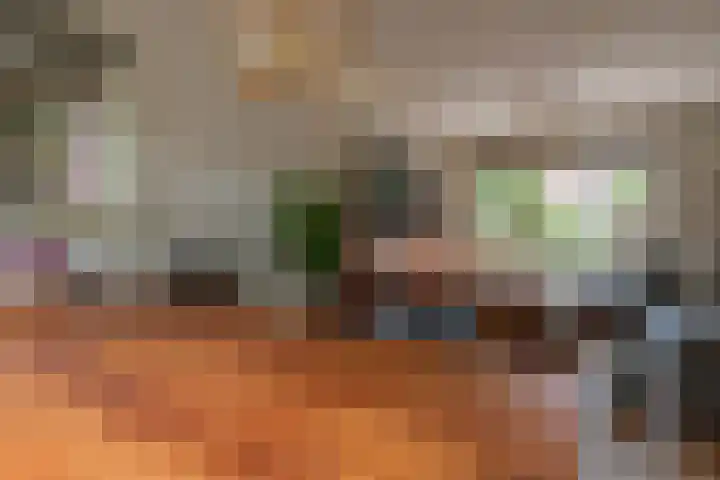 Lentestraat 21 Amsterdam thumbnail 9