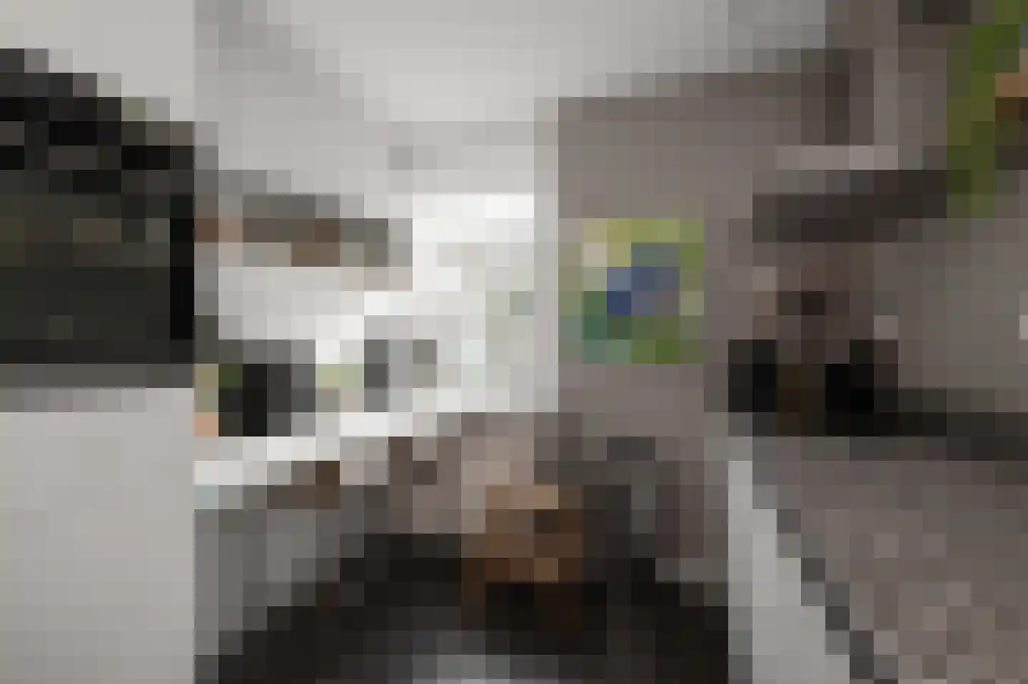Lentestraat 9 Alphen aan den Rijn thumbnail 11