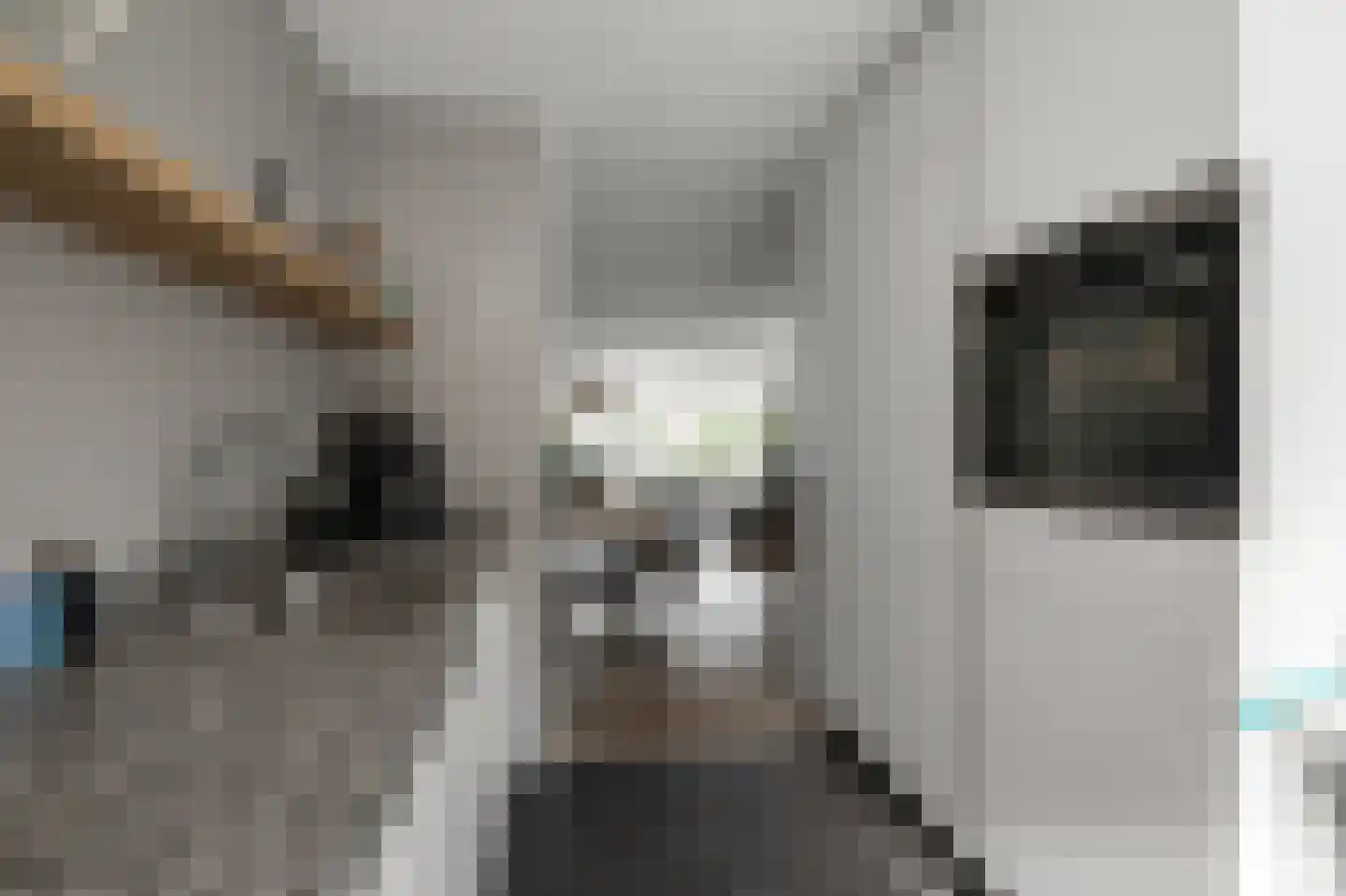 Lentestraat 9 Alphen aan den Rijn thumbnail 12