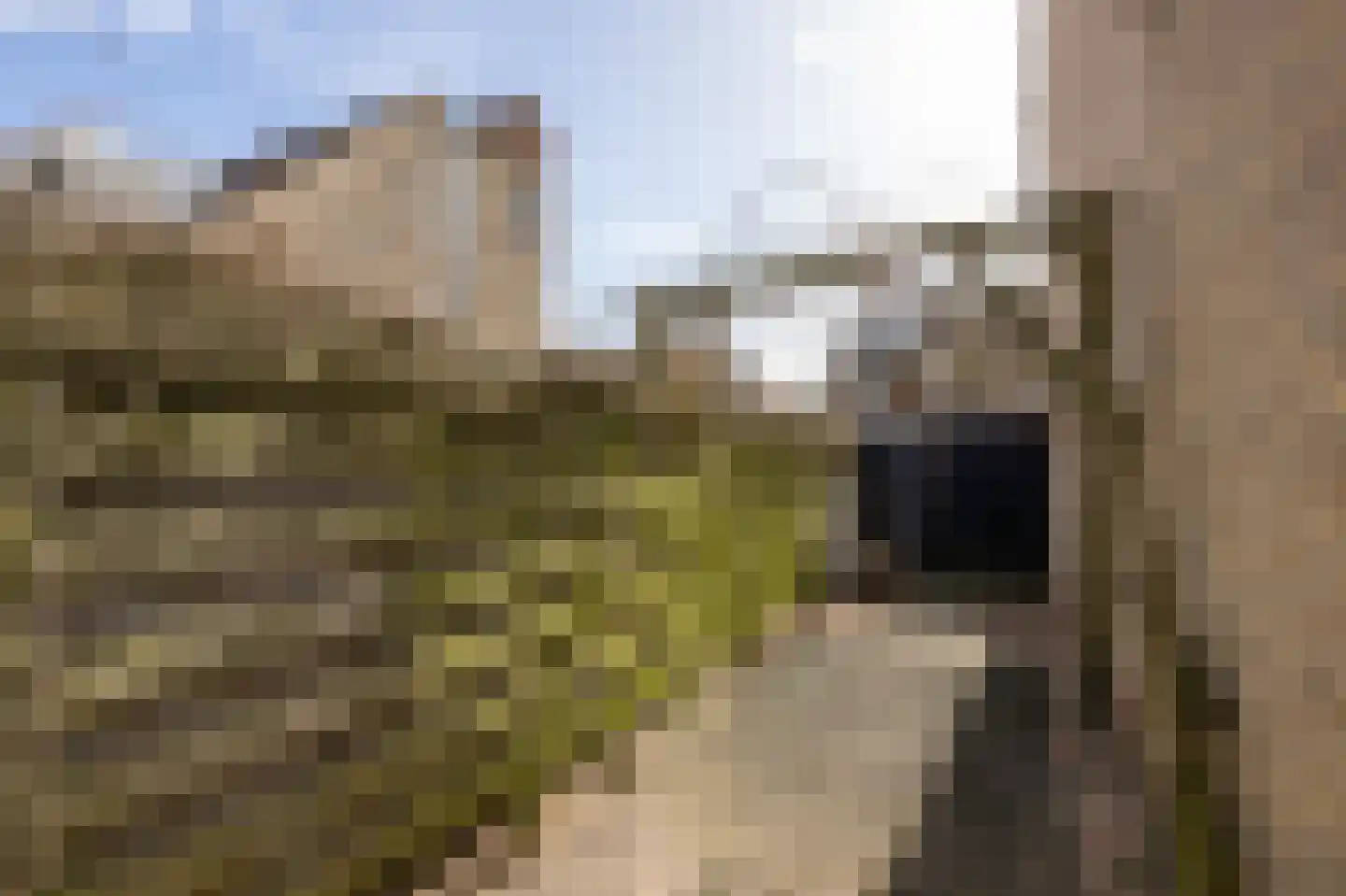 Lentestraat 9 Alphen aan den Rijn thumbnail 28