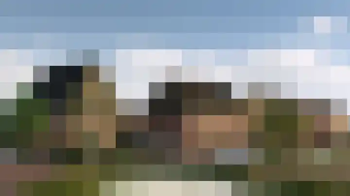 Lentetuin 5 Wijk en Aalburg thumbnail 4